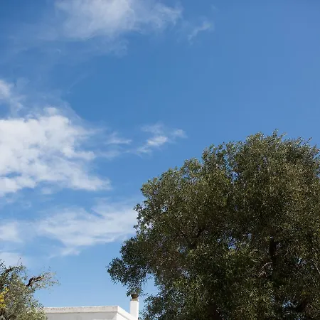 A Casa Di Flo * Monopoli