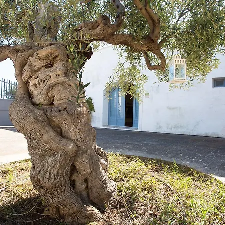 A Casa Di Flo בית נופש *