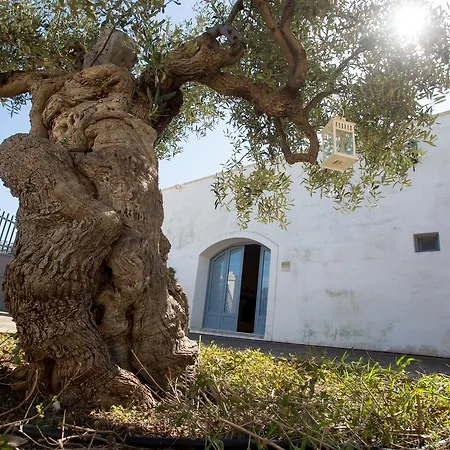 Сasa de vacaciones A Casa Di Flo Monopoli