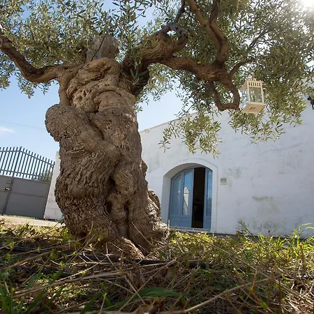 A Casa Di Flo 모노폴리